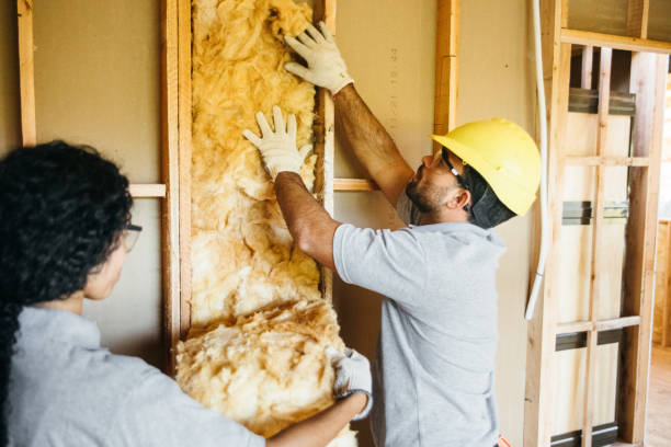 Best Insulation for New Construction  in Sierra View, PA